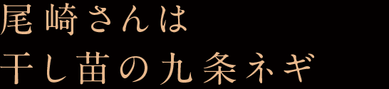 尾崎さんは干し苗の九条ネギ