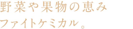 野菜や果物の恵みファイトケミカル。